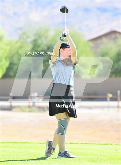 Thumbnail 3 in AIA DI Girls State Championships  photogallery.