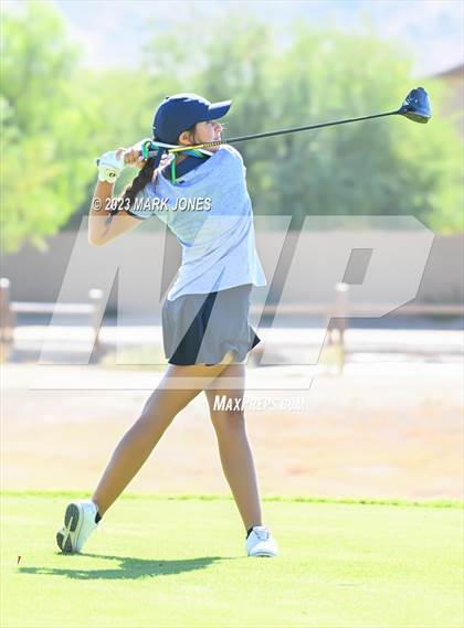 Thumbnail 3 in AIA DI Girls State Championships  photogallery.