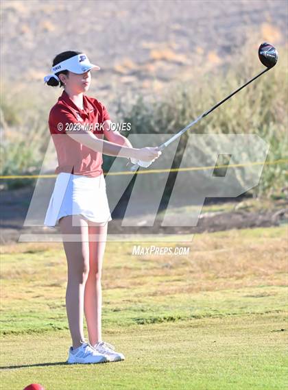 Thumbnail 2 in AIA DI Girls State Championships  photogallery.