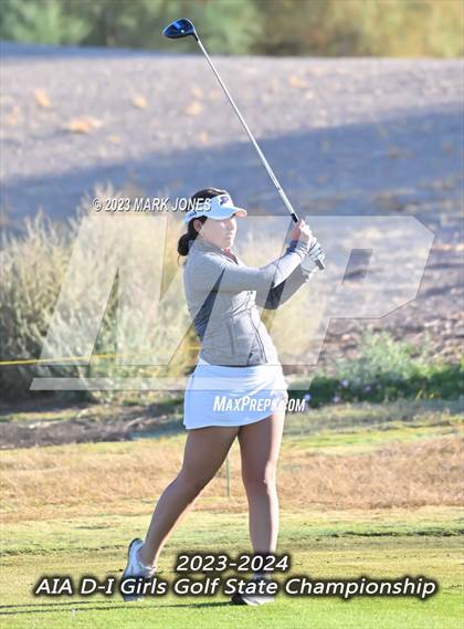 Thumbnail 2 in AIA DI Girls State Championships  photogallery.