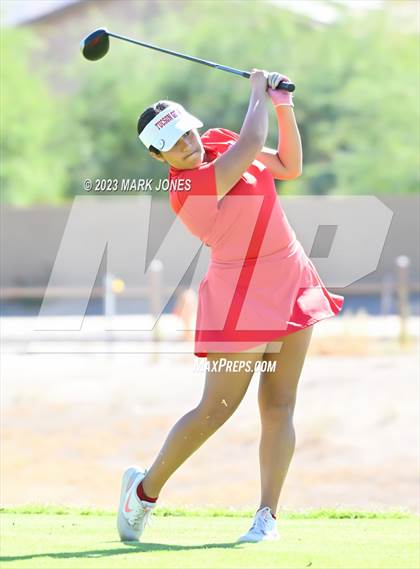 Thumbnail 2 in AIA DI Girls State Championships  photogallery.