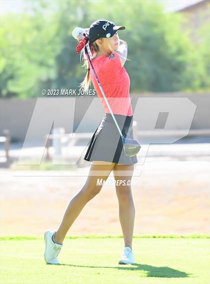 Thumbnail 1 in AIA DI Girls State Championships  photogallery.
