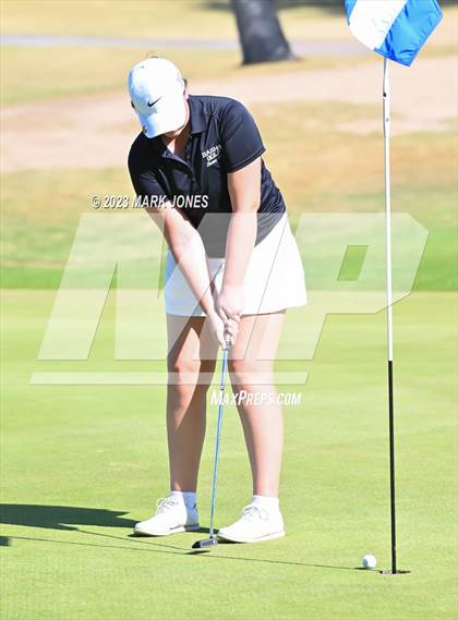 Thumbnail 2 in AIA DI Girls State Championships  photogallery.