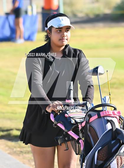 Thumbnail 2 in AIA DI Girls State Championships  photogallery.