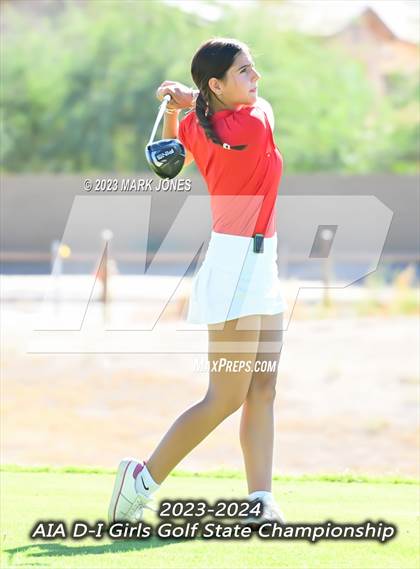 Thumbnail 1 in AIA DI Girls State Championships  photogallery.