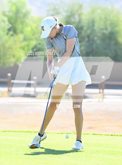 Thumbnail 2 in AIA DI Girls State Championships  photogallery.