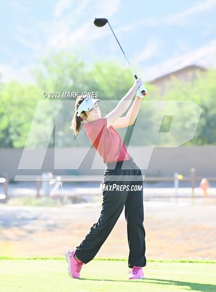Thumbnail 1 in AIA DI Girls State Championships  photogallery.