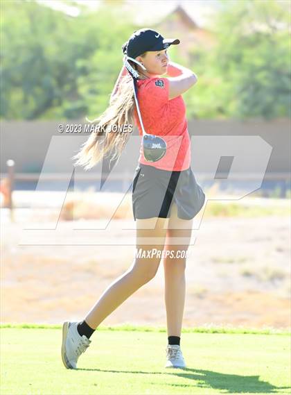 Thumbnail 2 in AIA DI Girls State Championships  photogallery.