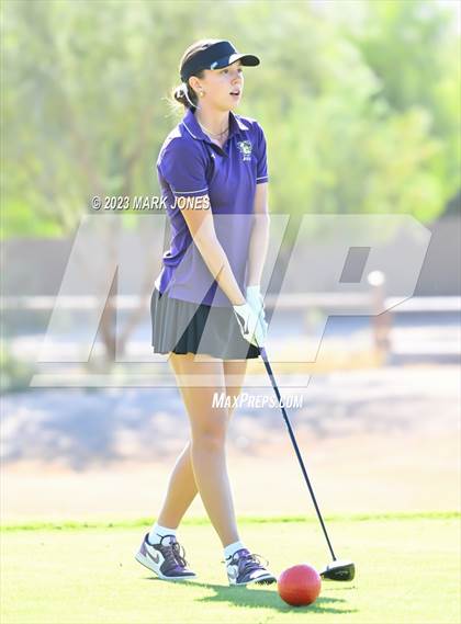Thumbnail 2 in AIA DI Girls State Championships  photogallery.