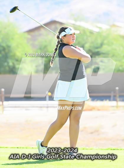 Thumbnail 2 in AIA DI Girls State Championships  photogallery.