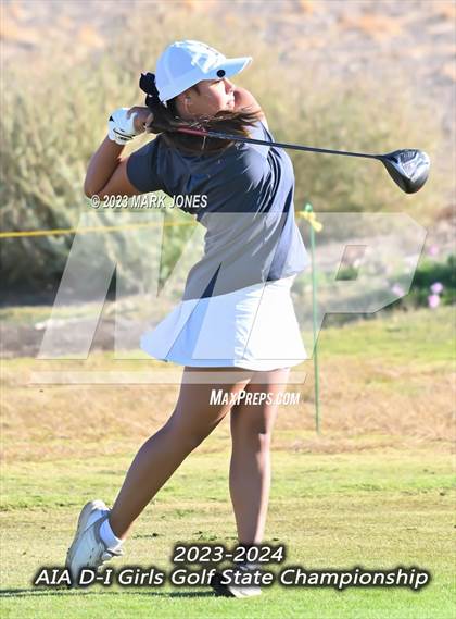 Thumbnail 1 in AIA DI Girls State Championships  photogallery.