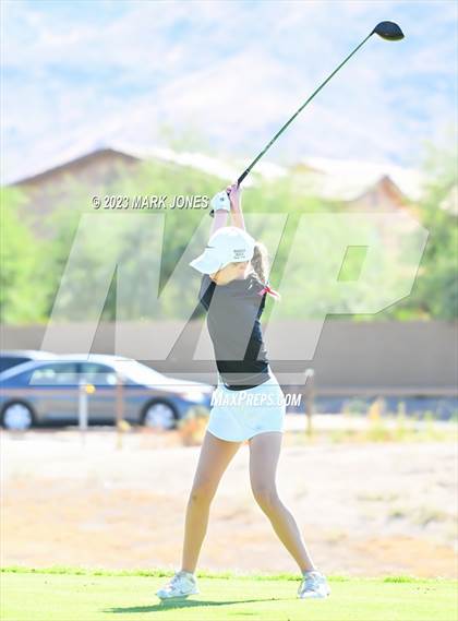 Thumbnail 2 in AIA DI Girls State Championships  photogallery.