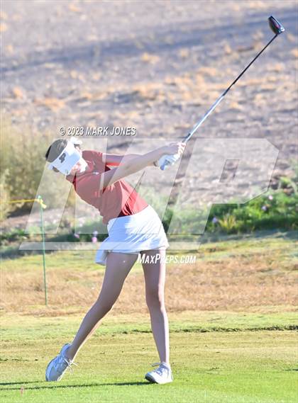 Thumbnail 2 in AIA DI Girls State Championships  photogallery.