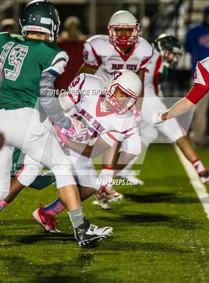 Thumbnail 1 in Park View @ Loudoun Valley photogallery.