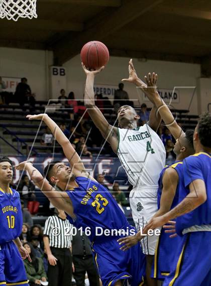 Thumbnail 1 in Newark Memorial vs. El Cerrito (CIF NCS D2 Final) photogallery.