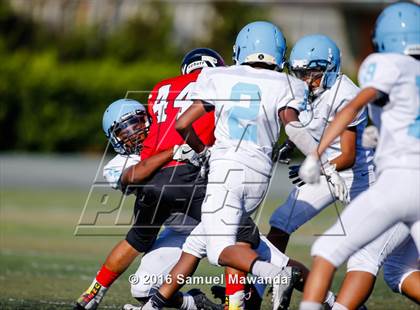 Thumbnail 3 in Arleta vs Carson  photogallery.