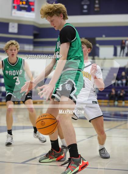 Thumbnail 1 in Cottonwood vs. Provo (Tournament of Champions) photogallery.