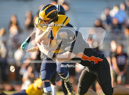 Thumbnail 2 in Nottingham @ Hamilton photogallery.