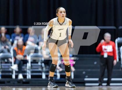 Thumbnail 3 in Goliad vs. Bushland (UIL 3A Volleyball Division 1 Final) photogallery.