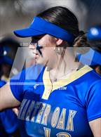 Photo from the gallery "Charter Oak @ Rowland"