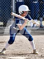 Photo from the gallery "Charter Oak @ Rowland"