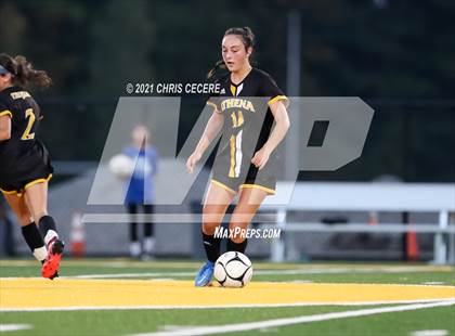 Thumbnail 1 in Brockport @ Greece Athena photogallery.