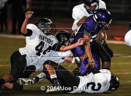 Thumbnail 3 in Pioneer Valley @ Righetti photogallery.