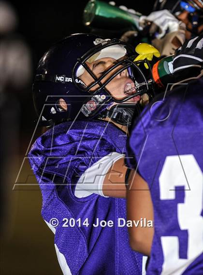 Thumbnail 3 in Pioneer Valley @ Righetti photogallery.