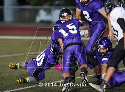 Thumbnail 1 in Pioneer Valley @ Righetti photogallery.