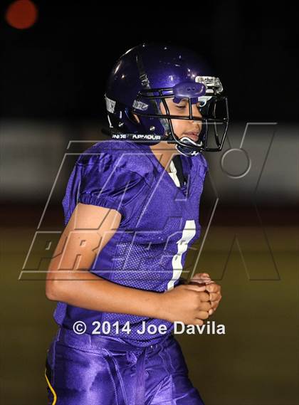 Thumbnail 2 in Pioneer Valley @ Righetti photogallery.