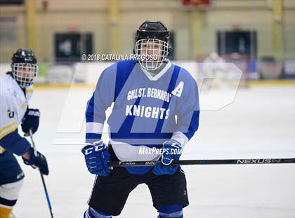 Thumbnail 2 in Gill St. Bernard's @ Pequannock photogallery.