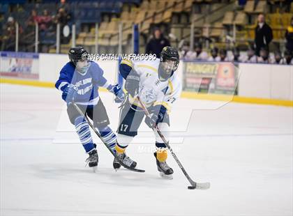 Thumbnail 1 in Gill St. Bernard's @ Pequannock photogallery.