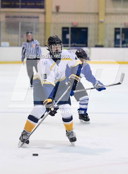 Thumbnail 3 in Gill St. Bernard's @ Pequannock photogallery.