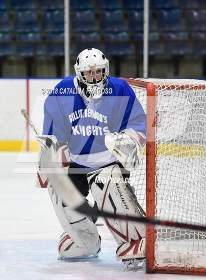 Thumbnail 2 in Gill St. Bernard's @ Pequannock photogallery.