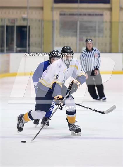 Thumbnail 1 in Gill St. Bernard's @ Pequannock photogallery.