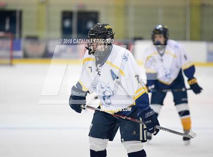 Thumbnail 3 in Gill St. Bernard's @ Pequannock photogallery.