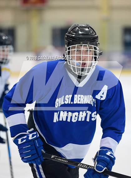 Thumbnail 3 in Gill St. Bernard's @ Pequannock photogallery.