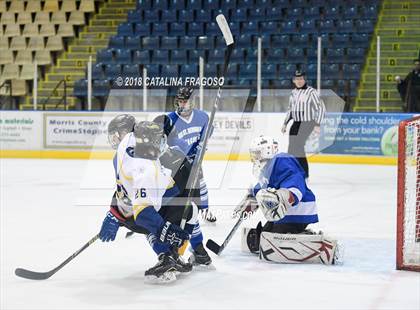 Thumbnail 2 in Gill St. Bernard's @ Pequannock photogallery.