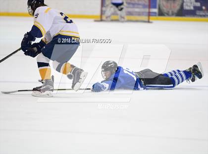 Thumbnail 3 in Gill St. Bernard's @ Pequannock photogallery.