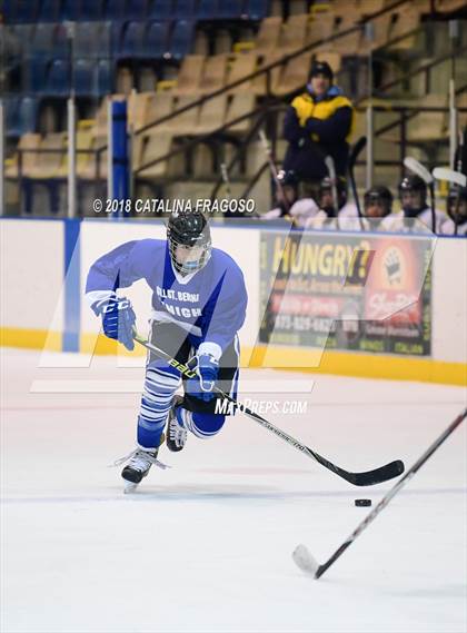 Thumbnail 1 in Gill St. Bernard's @ Pequannock photogallery.