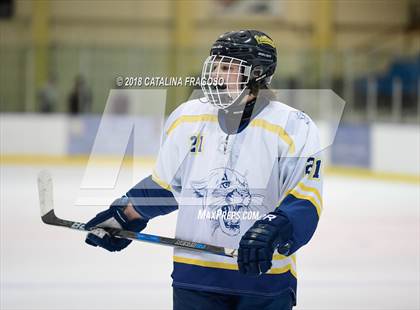 Thumbnail 2 in Gill St. Bernard's @ Pequannock photogallery.