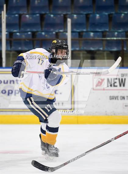 Thumbnail 2 in Gill St. Bernard's @ Pequannock photogallery.