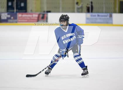 Thumbnail 3 in Gill St. Bernard's @ Pequannock photogallery.