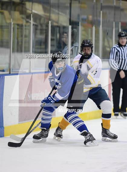 Thumbnail 1 in Gill St. Bernard's @ Pequannock photogallery.