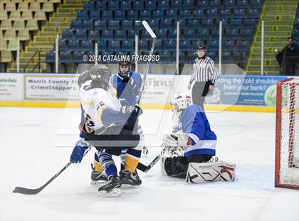 Thumbnail 1 in Gill St. Bernard's @ Pequannock photogallery.