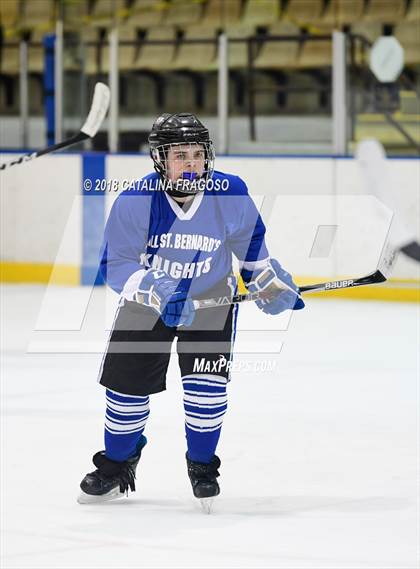 Thumbnail 2 in Gill St. Bernard's @ Pequannock photogallery.