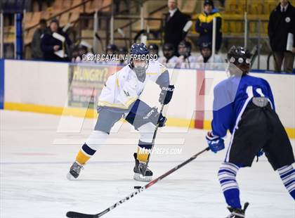 Thumbnail 3 in Gill St. Bernard's @ Pequannock photogallery.