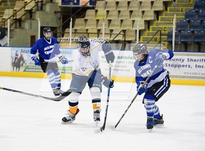 Thumbnail 2 in Gill St. Bernard's @ Pequannock photogallery.