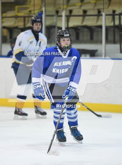 Thumbnail 2 in Gill St. Bernard's @ Pequannock photogallery.