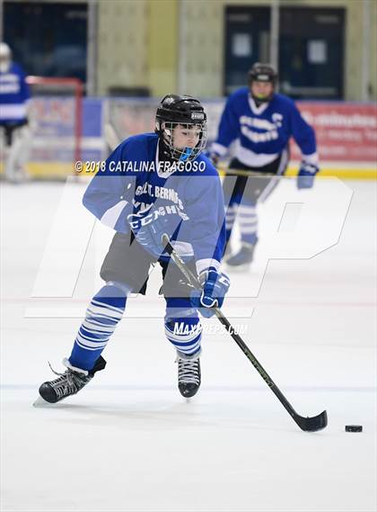 Thumbnail 3 in Gill St. Bernard's @ Pequannock photogallery.